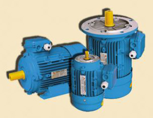 Электродвигатели Able (стандарт IEC (Cenelek), Италия) Электродвигатели Able (стандарт IEC (Cenelek), Италия)